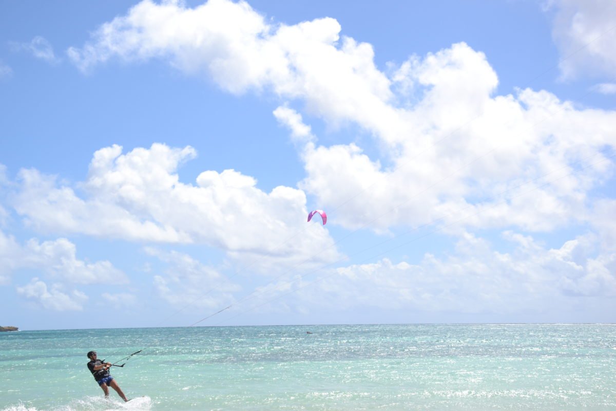 Guadeloupe Sargasses Tout Savoir Pour Planifier Votre